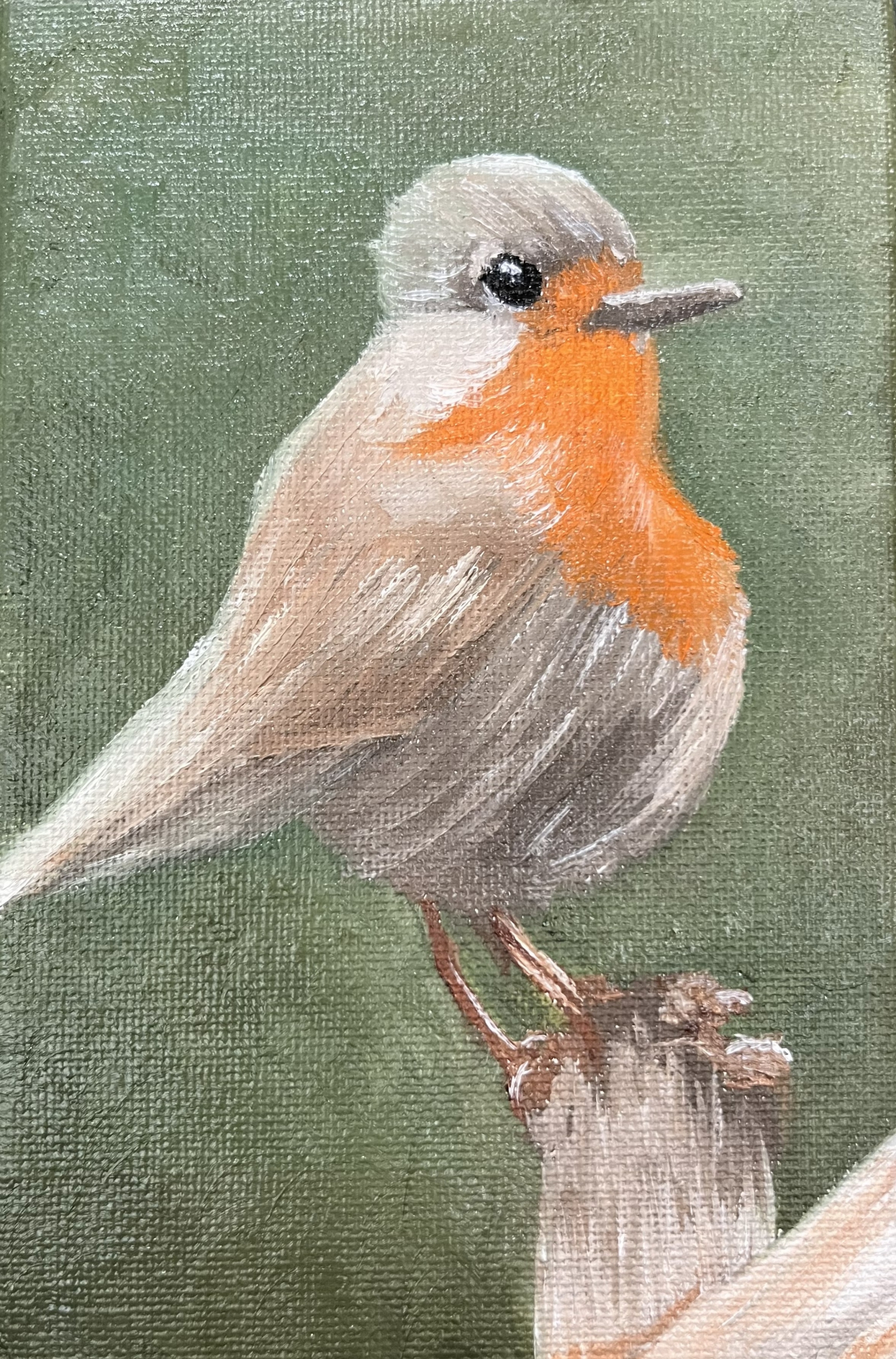 Click here to view Feathered Friend by Margo Myers